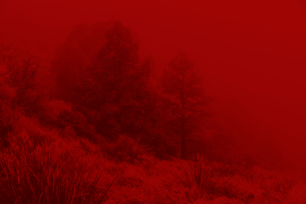 Buck Taylor Art - The BEST Place for Western Art!