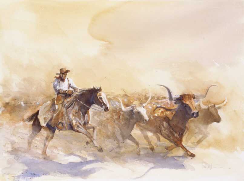 1000 Cattle Running