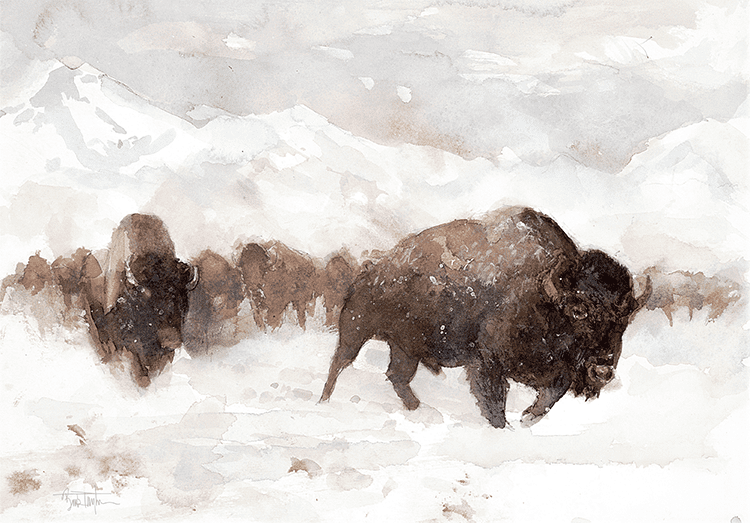 WINTER CHARGE